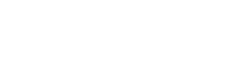 Immaculate Flight Logo